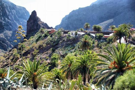 Marody House Vacacional Apartment Granadilla De Abona Luaran gambar
